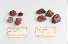 Foto von Mellit (NHMW-MIN-Ab6864)